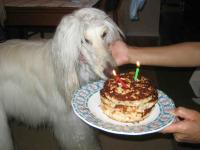 セナとお誕生日ケーキ