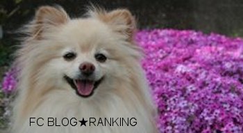 FC2Blog Ranking