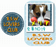 B.S.W LOVERS　CLUB No.19