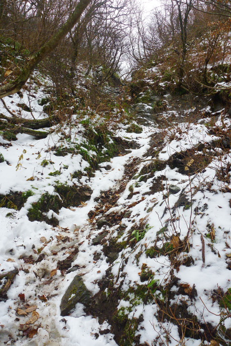 雪の増えた登山道