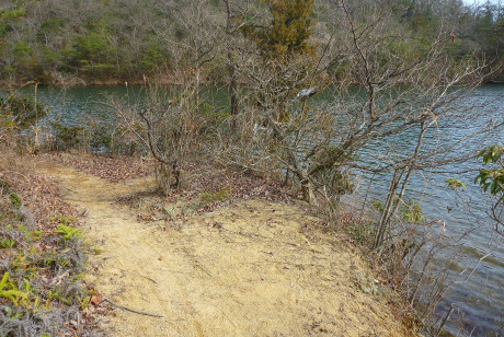 池畔の道
