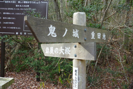 大桜への道標