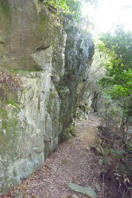 大岩下の下山路